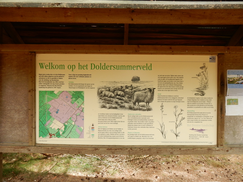 Doldersum
