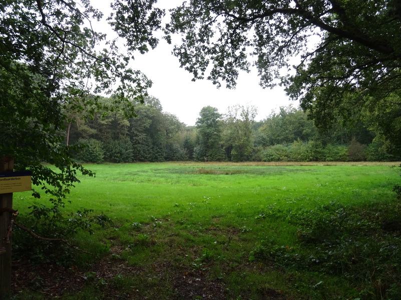 Noordlaarderbos3.jpg