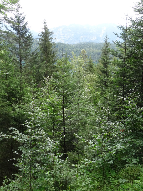 Eibsee7.jpg