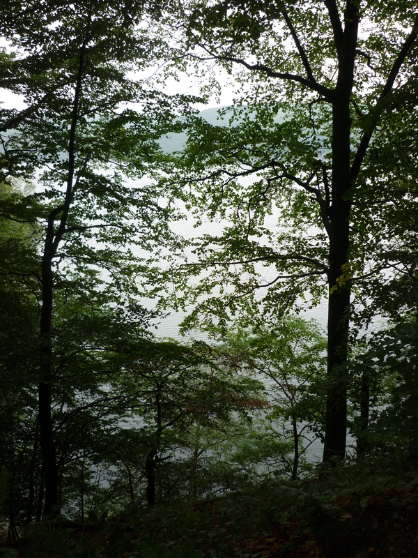 Rursee13.jpg