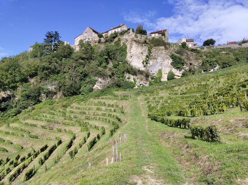 Menetru-le-Vignoble14.jpg