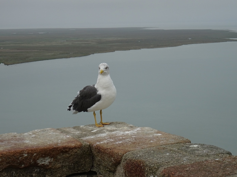 MontSaintMichel8.jpg