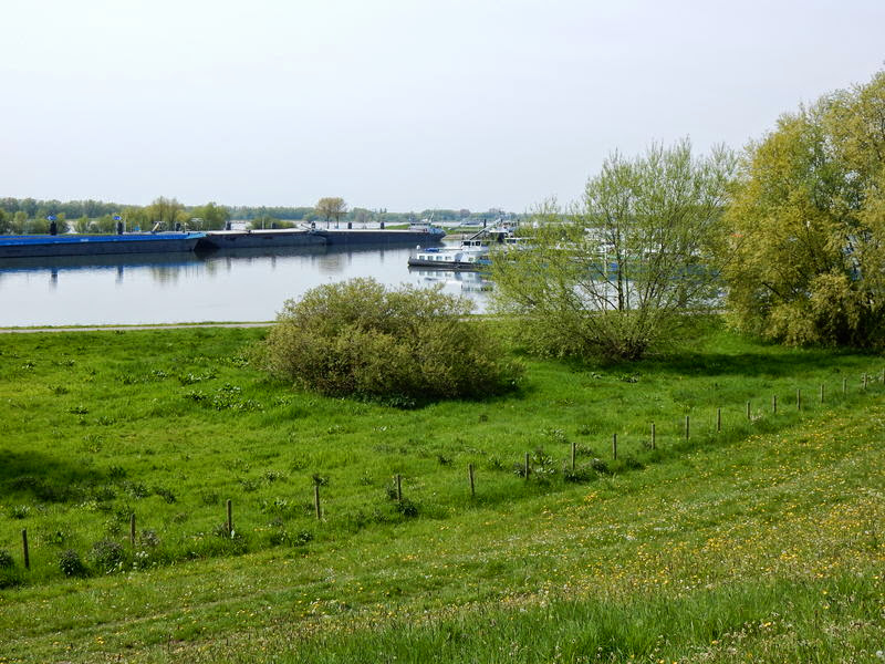 IJzendoorn10.jpg