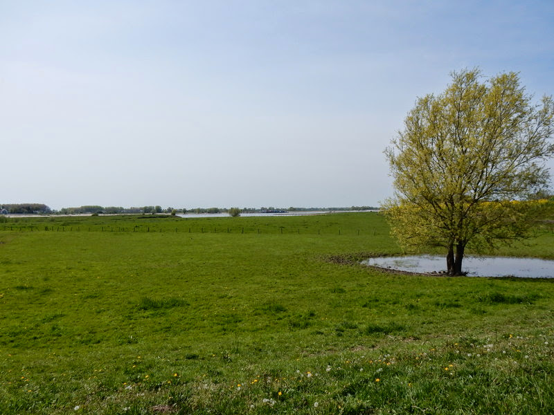 IJzendoorn11.jpg