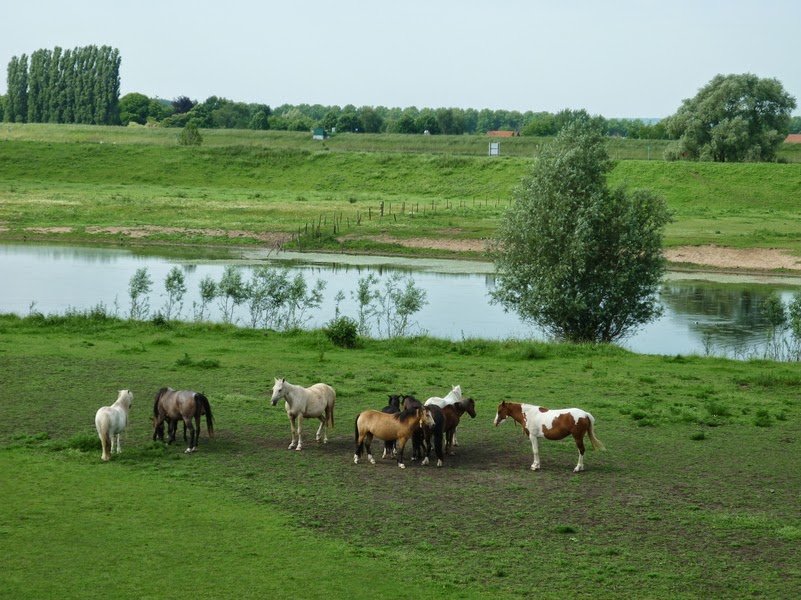 OudZevenaar8.jpg