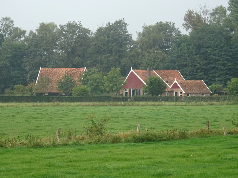 Vosseveld6.jpg