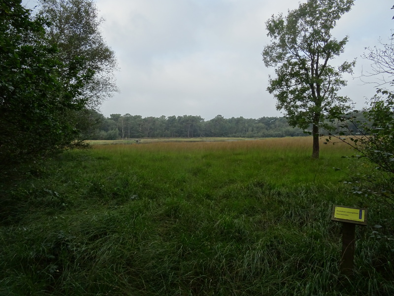 Nederheide2.jpg