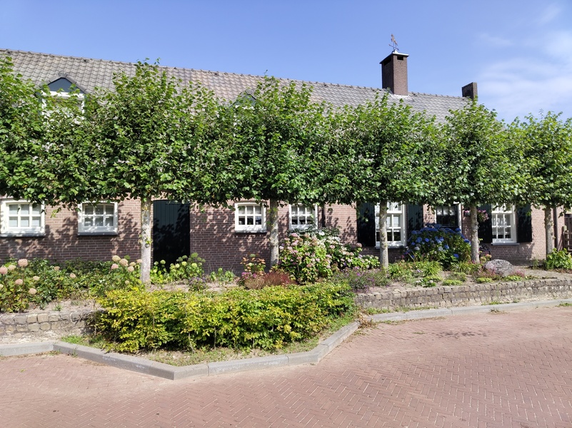 Riethoven12.jpg