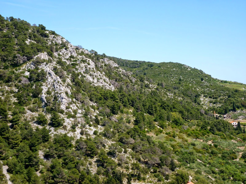 Hvar28.jpg