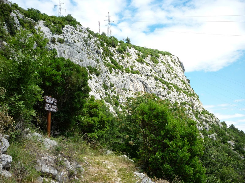 Omis36.jpg