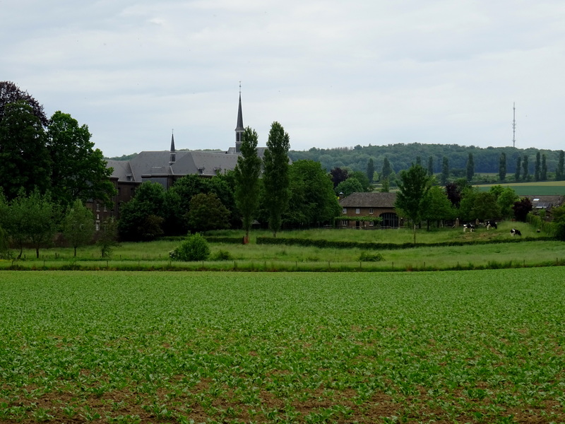 Wahlwiller11.jpg