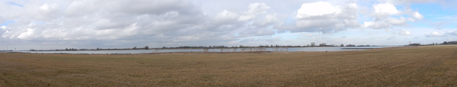 Biesbosch17.jpg