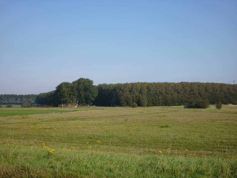 Hoogerheide7.jpg