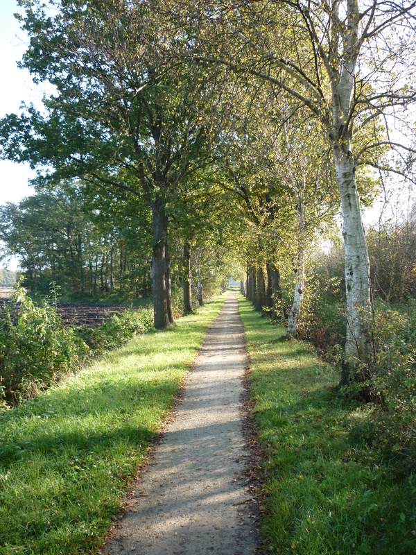 Kaathoven6.jpg