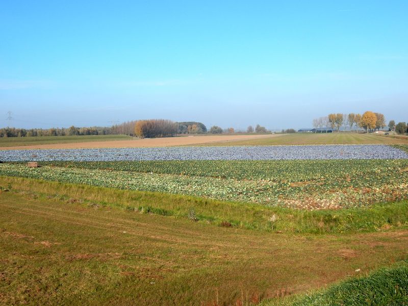 Sleeuwijk11.jpg
