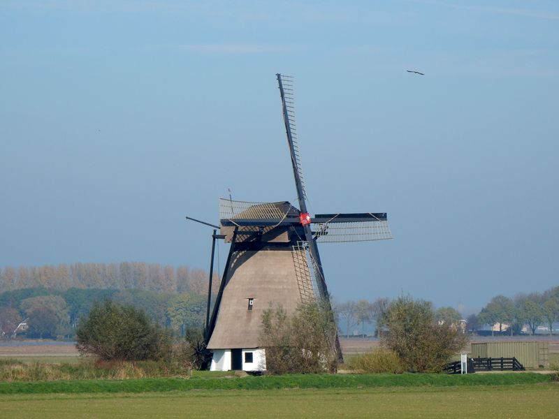 Sleeuwijk14.jpg