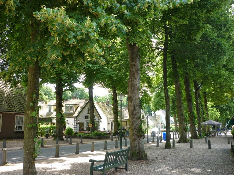 Baarn13.jpg