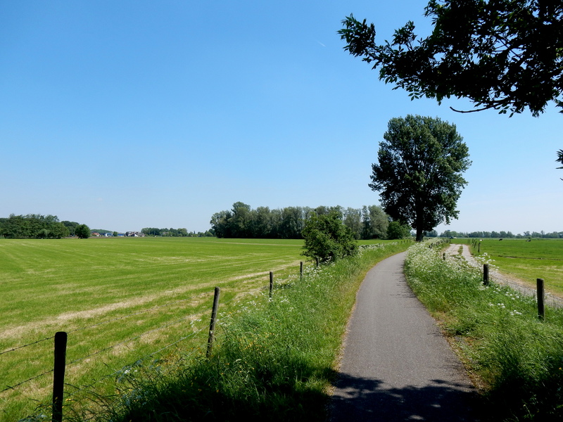 Linschoten9.jpg