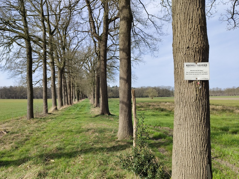 Sterbos3.jpg