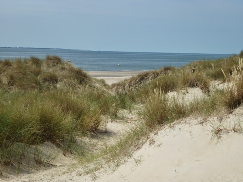Renesse11.jpg