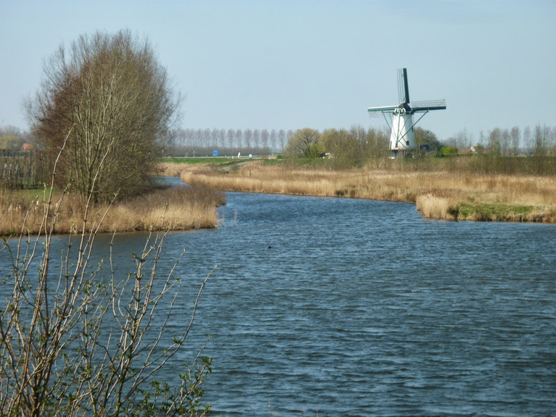 Tholen4.jpg