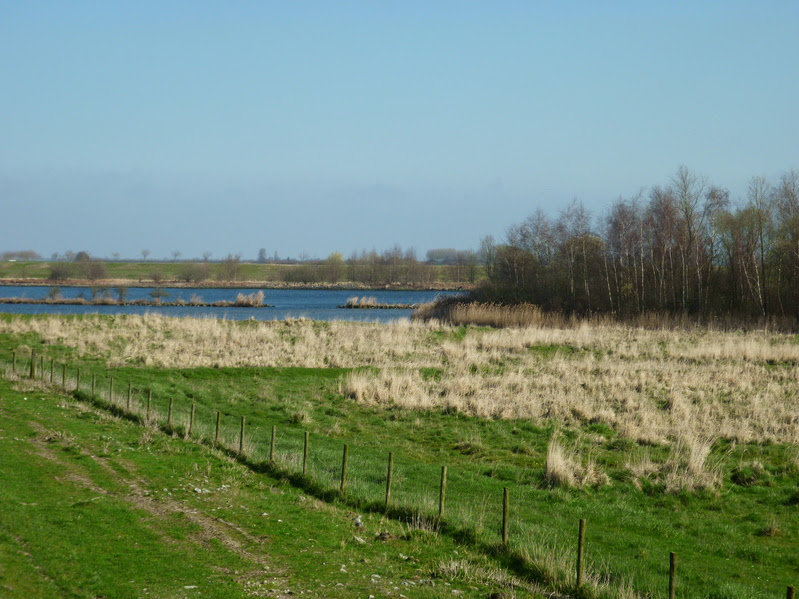 Tholen7.jpg