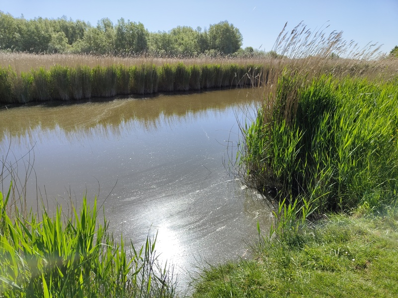 Zwarte_Polder9.jpg