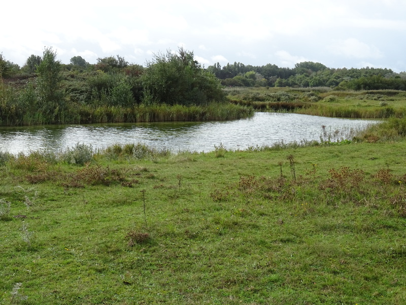 Oosterduin8.jpg