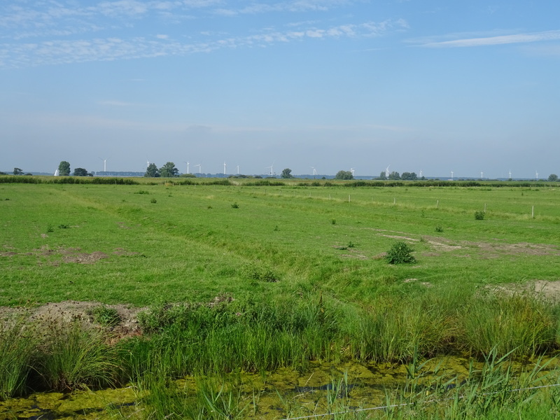 Oudendijk6.jpg