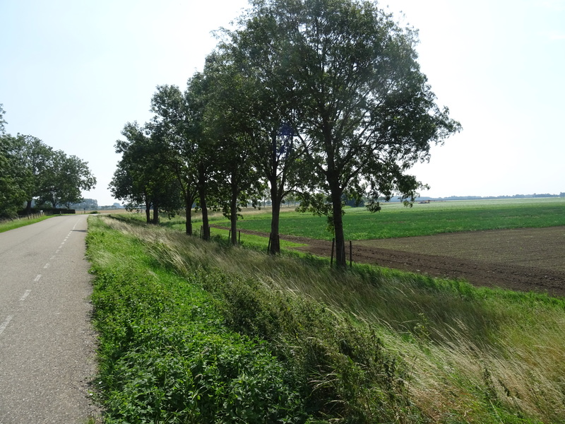 Oudendijk7.jpg