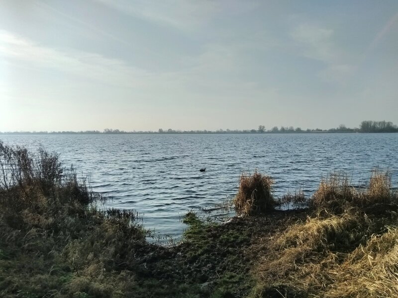Reeuwijk33.jpg