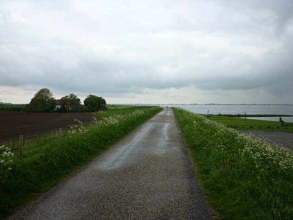 Stad_a__h_Haringvliet