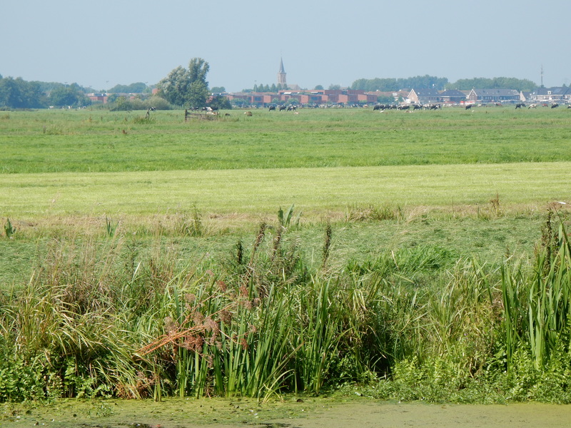 Stolwijk15.jpg