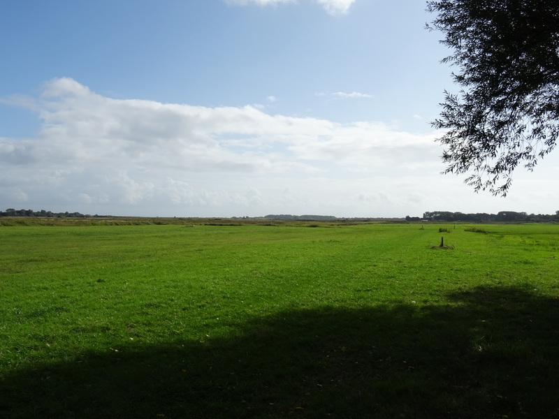 WestNieuwland10.jpg