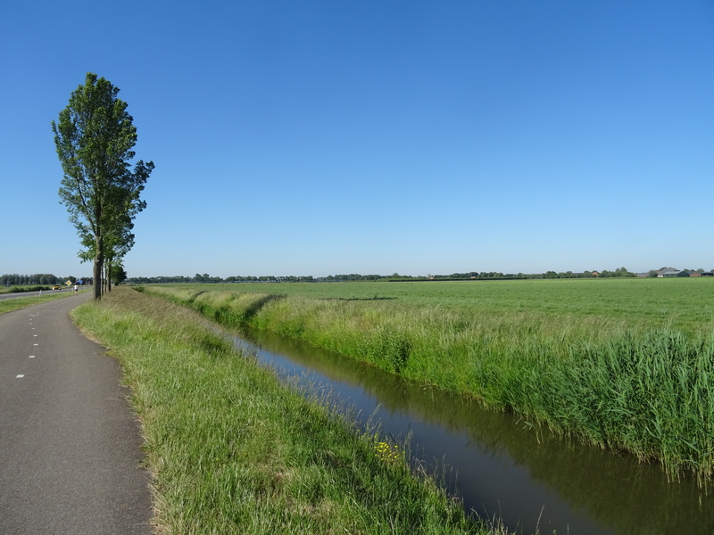 Zinkweg3.jpg