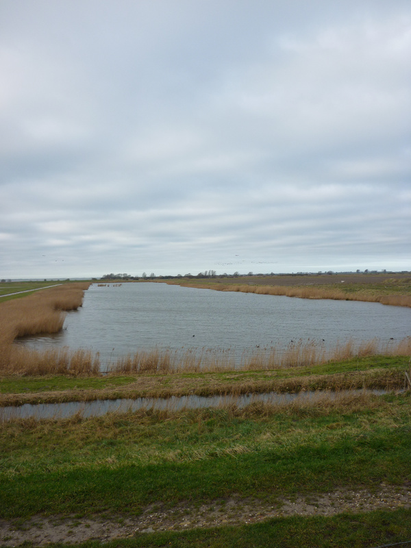 ZBeijerland13.jpg