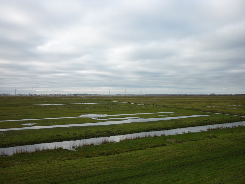 ZBeijerland14.jpg