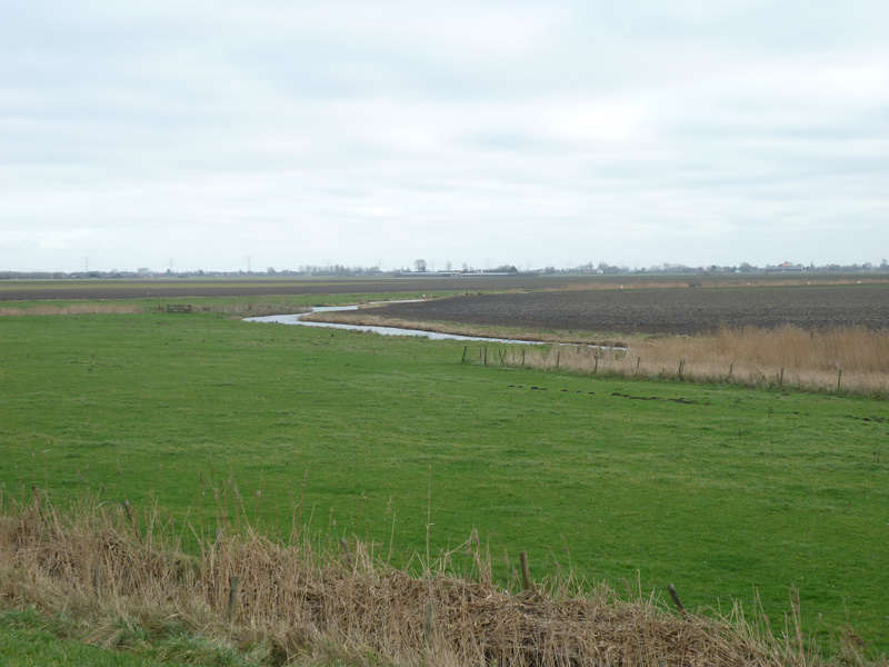 ZBeijerland7.jpg